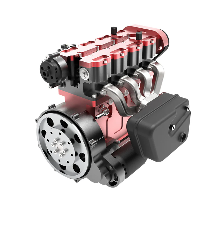 bird of paradise bird of paradise