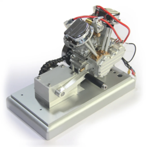 ficus decora cabernet