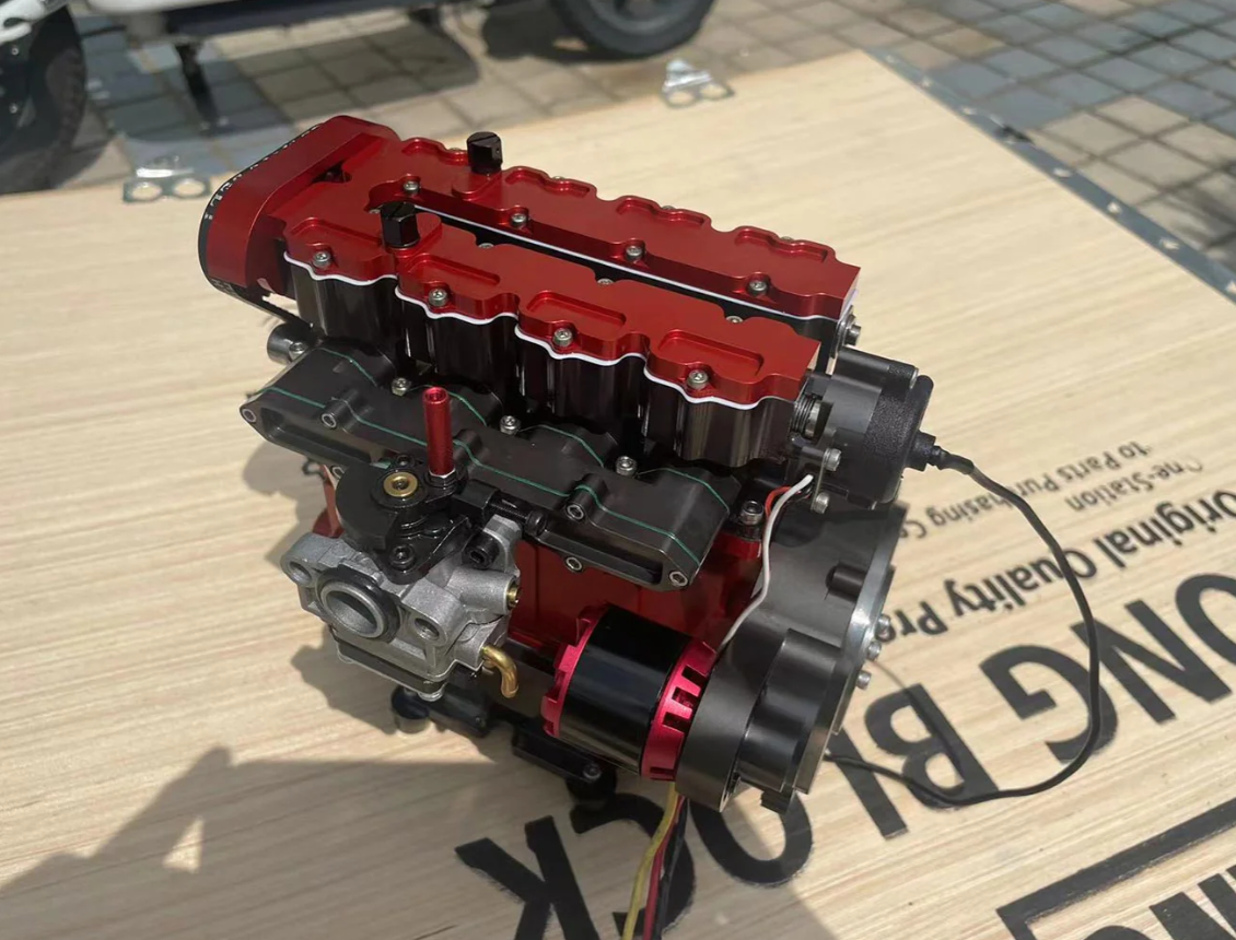 bird of paradise bird of paradise