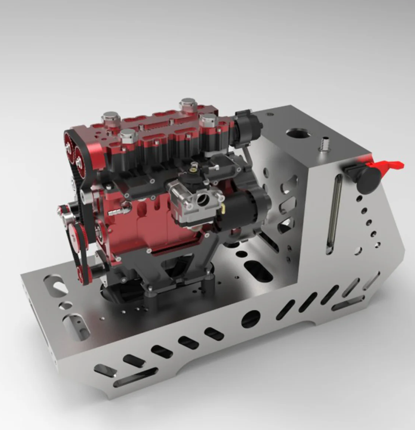 bird of paradise bird of paradise