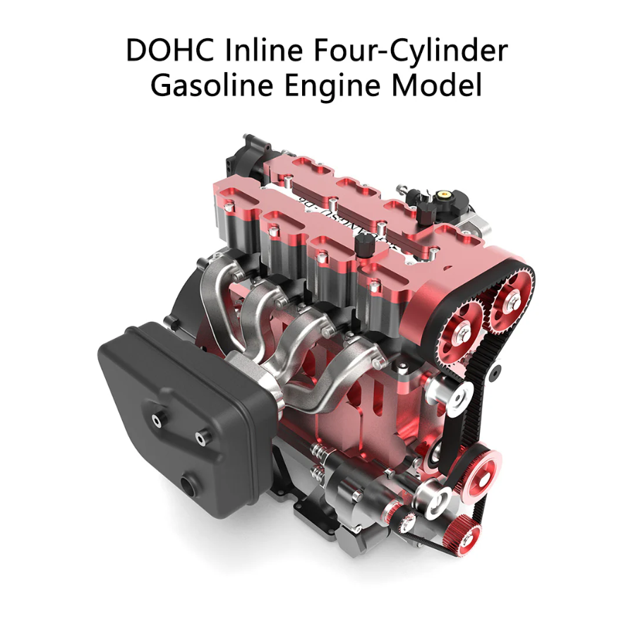 bird of paradise bird of paradise