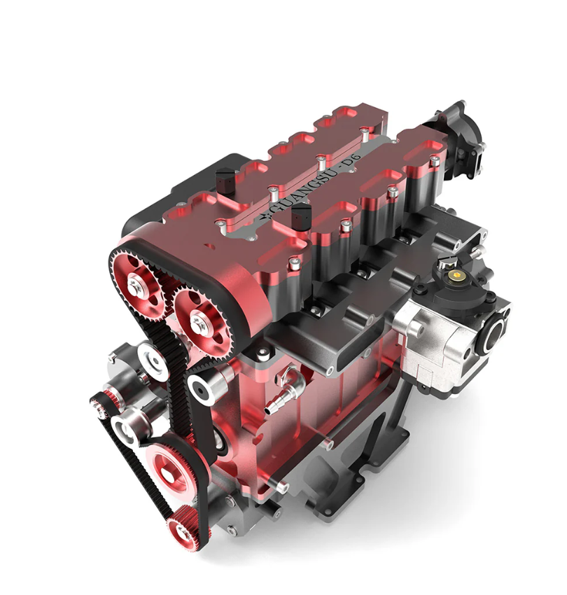 bird of paradise bird of paradise