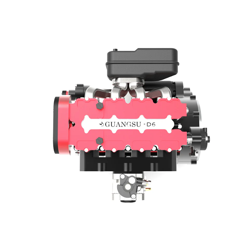 bird of paradise bird of paradise