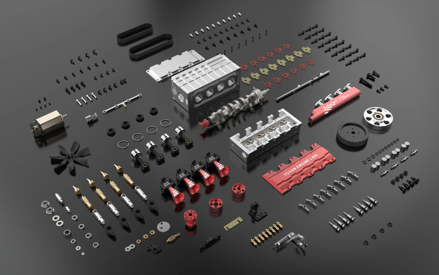 euphorbia ingens euphorbia ingens