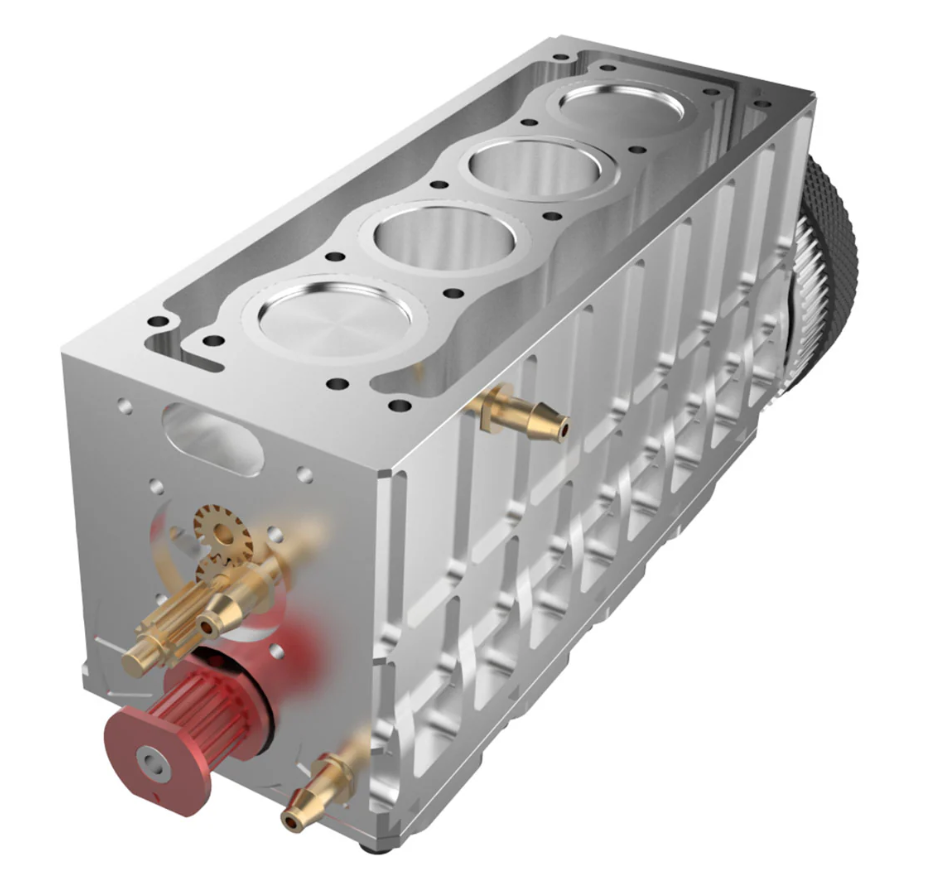 euphorbia ingens euphorbia ingens