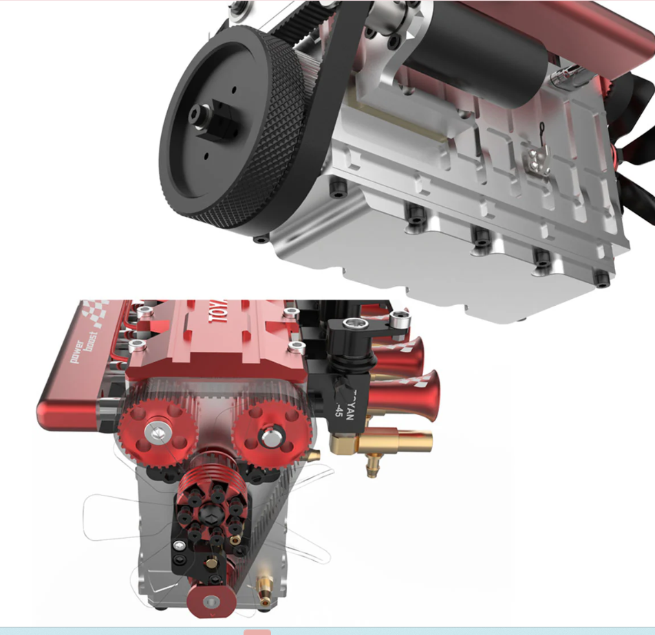 euphorbia ingens euphorbia ingens