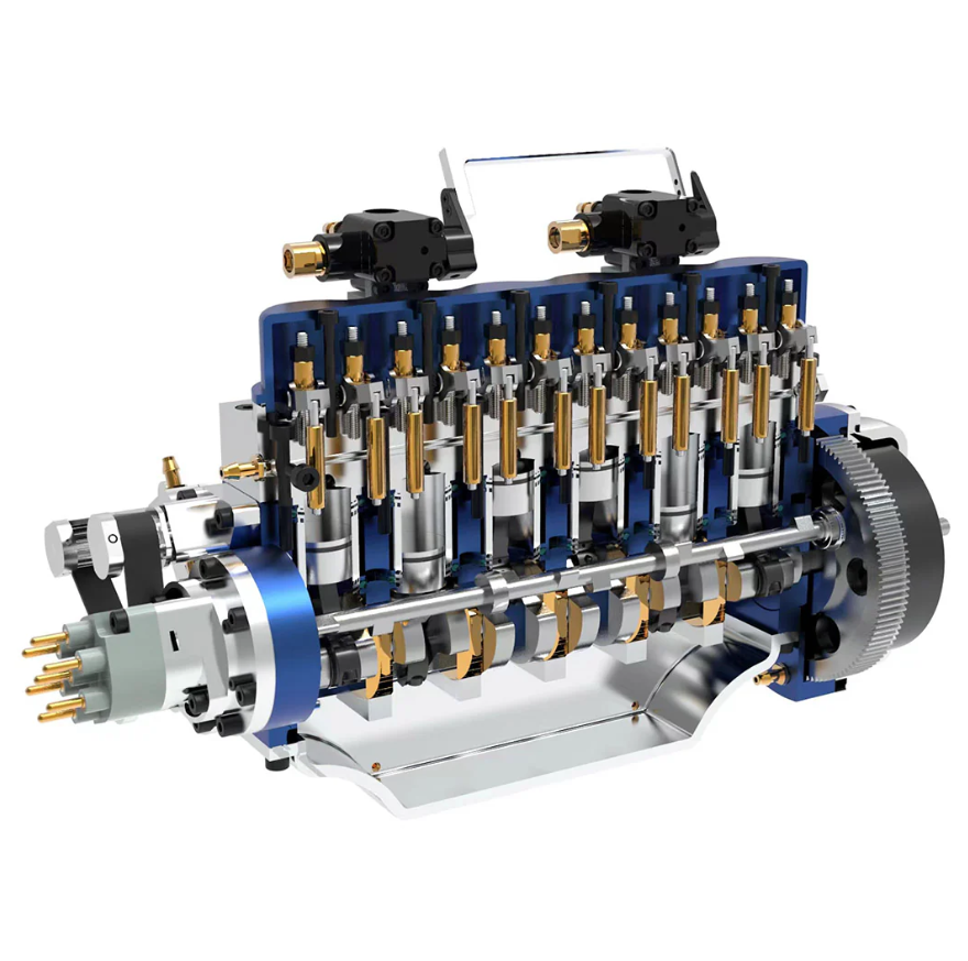 monstera deliciosa monstera deliciosa