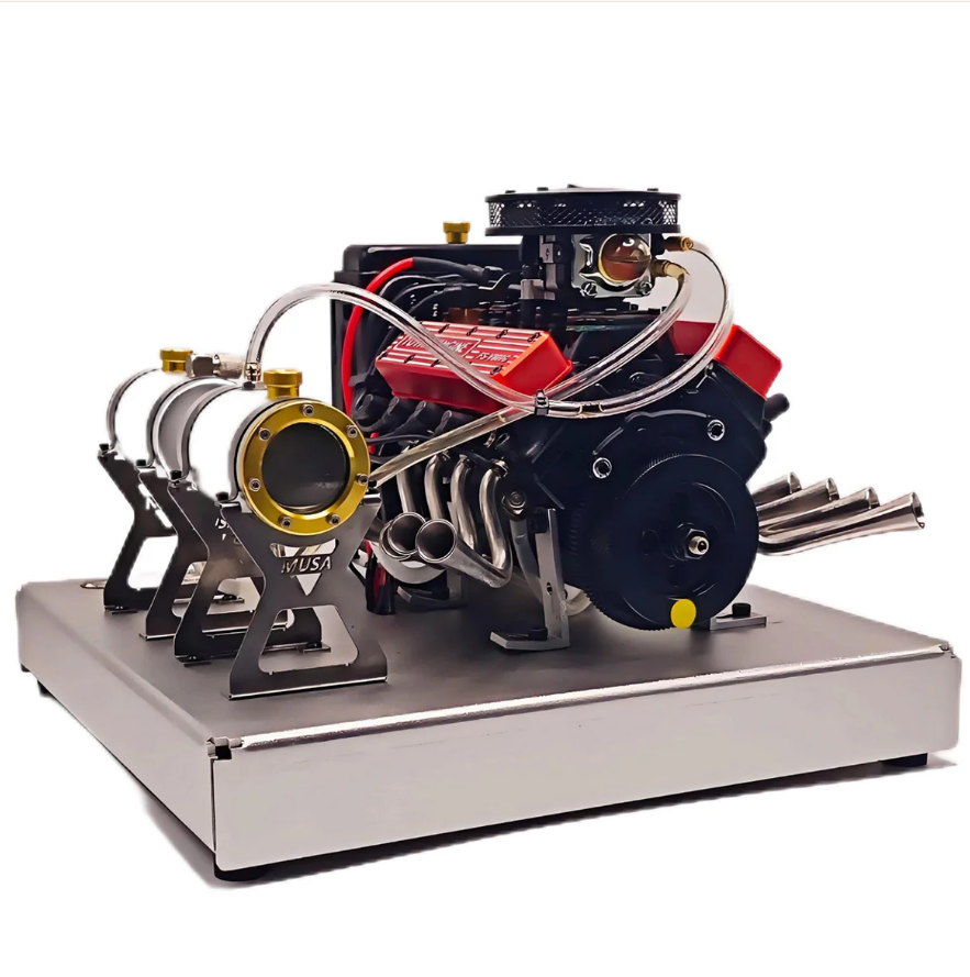 aralia ming aralia ming