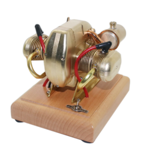 alocasia regal shield