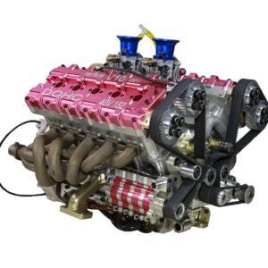 peperomia lemon lime