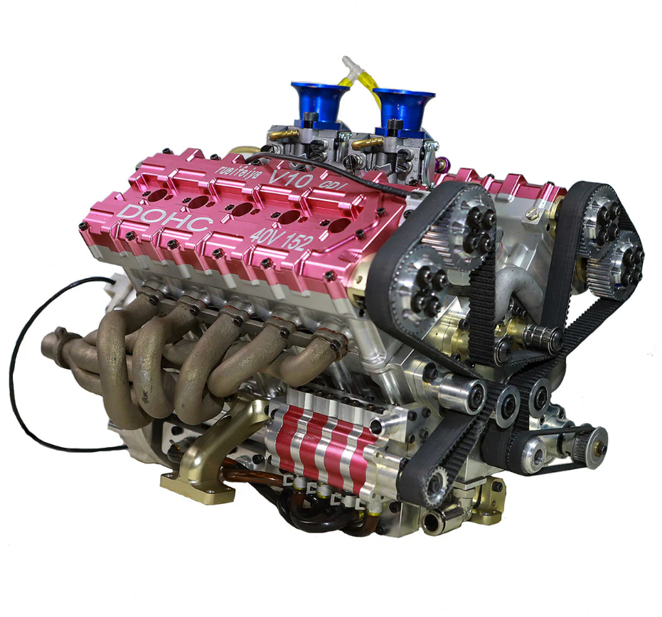 peperomia lemon lime peperomia lemon lime