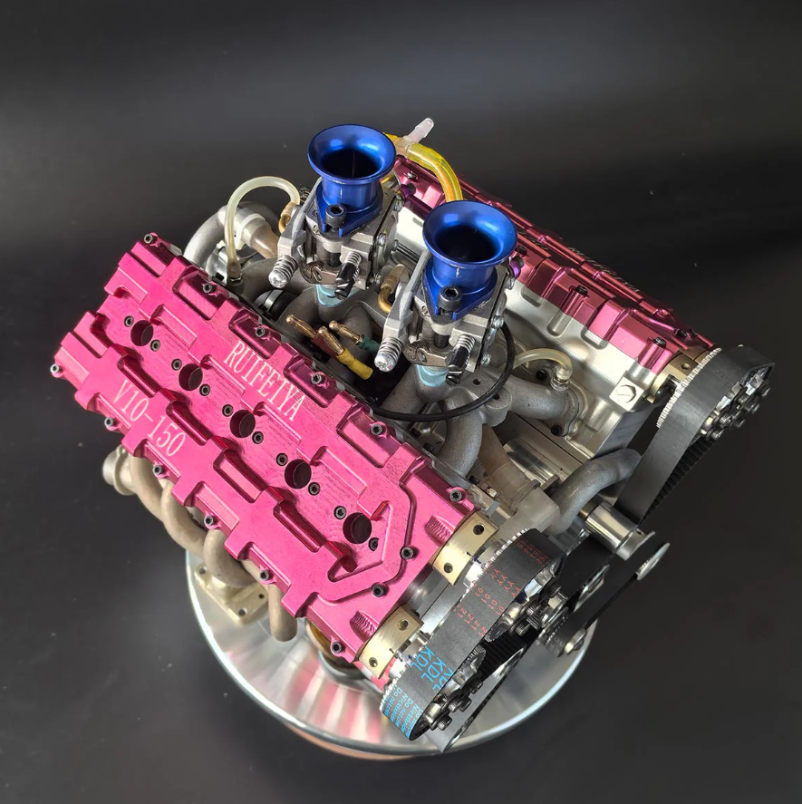 peperomia lemon lime peperomia lemon lime