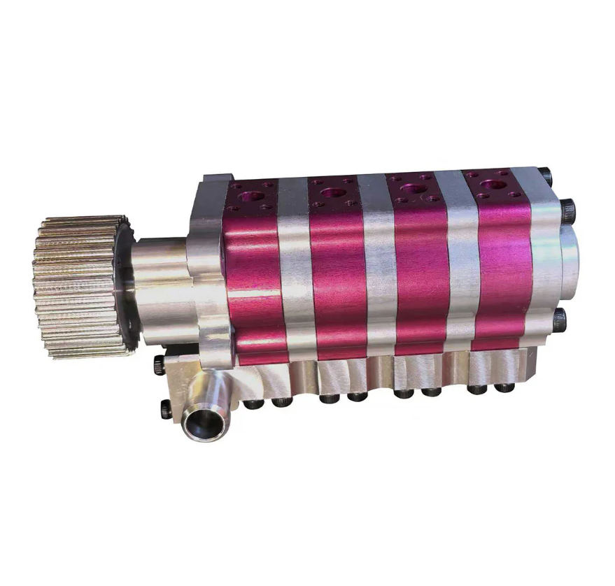 peperomia lemon lime peperomia lemon lime