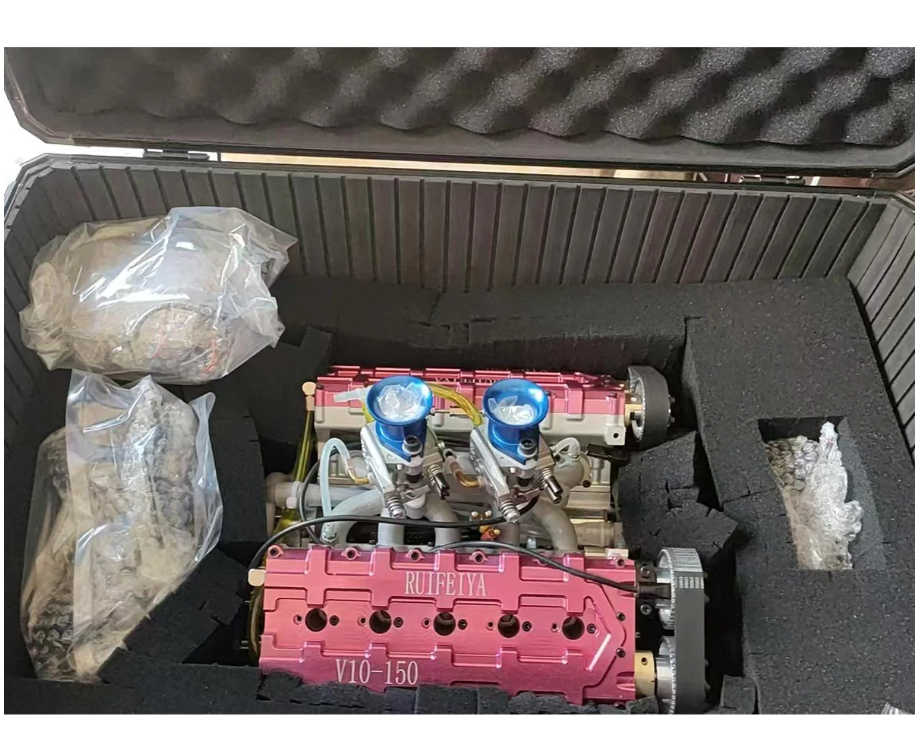 peperomia lemon lime peperomia lemon lime