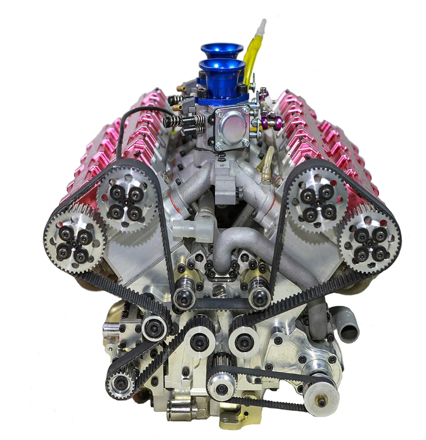 peperomia lemon lime peperomia lemon lime