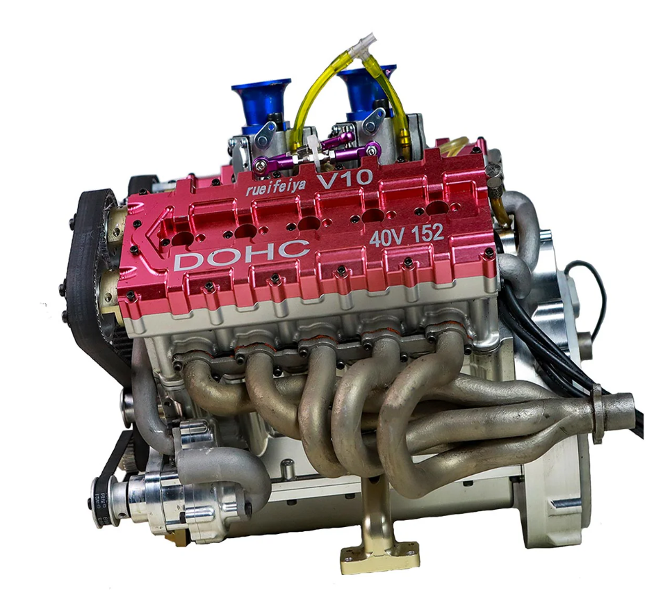 peperomia lemon lime peperomia lemon lime