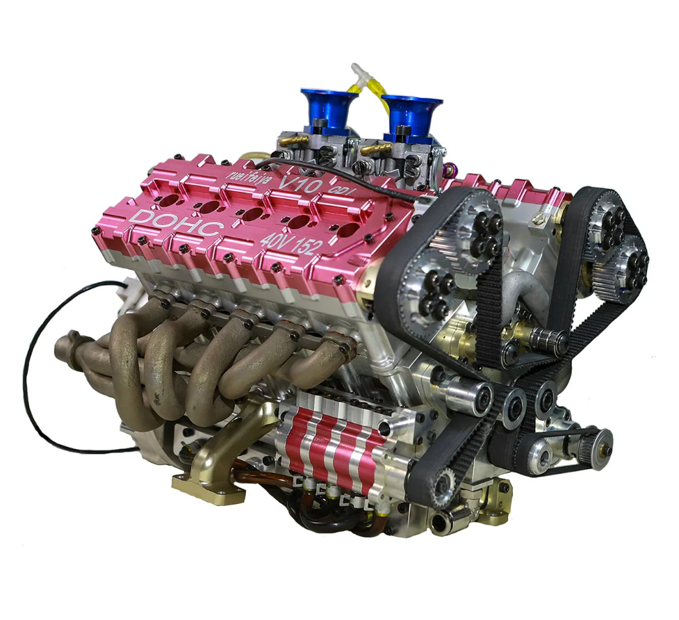 peperomia lemon lime peperomia lemon lime