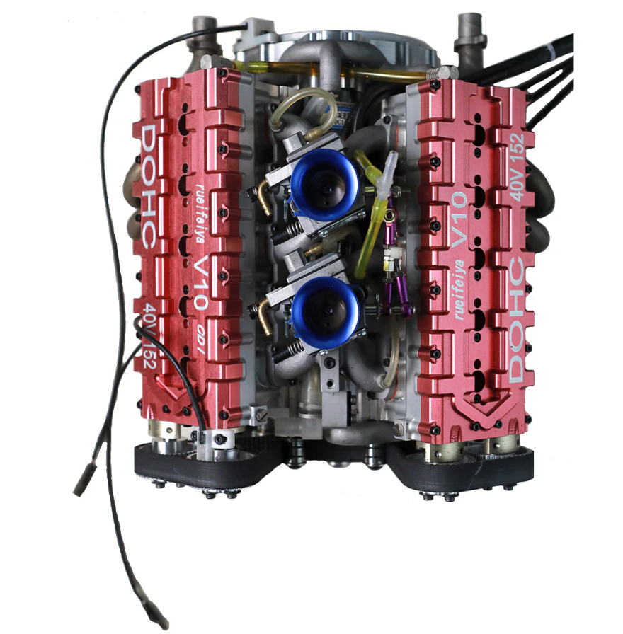 peperomia lemon lime peperomia lemon lime