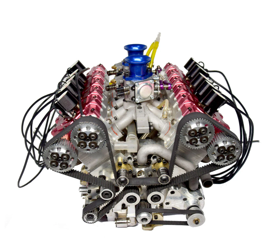 peperomia lemon lime peperomia lemon lime