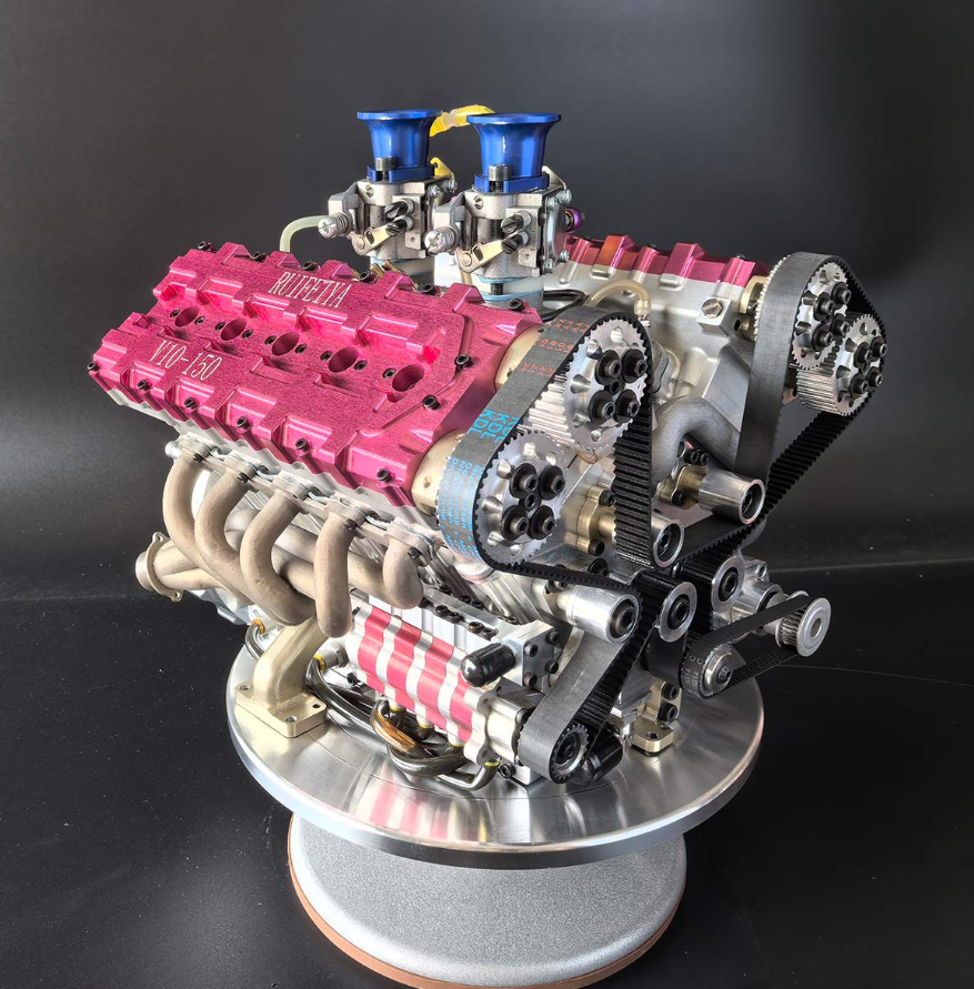 peperomia lemon lime peperomia lemon lime