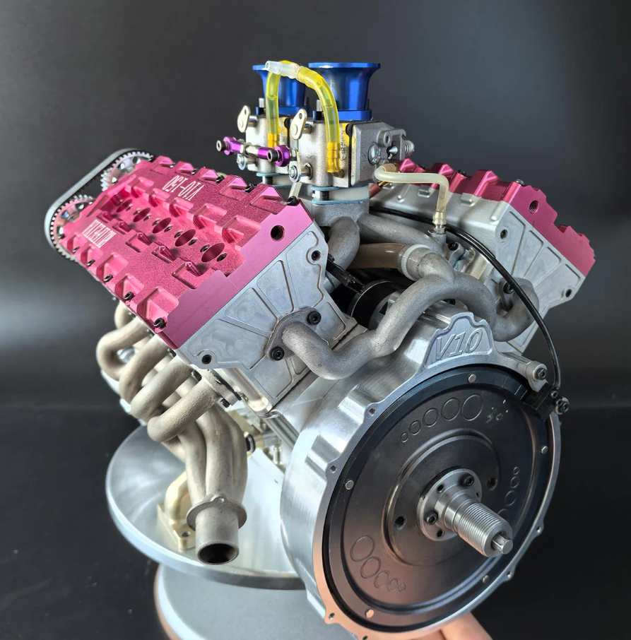 peperomia lemon lime peperomia lemon lime