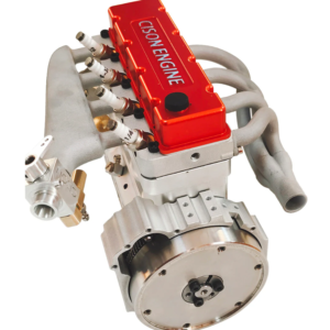 calathea beauty star