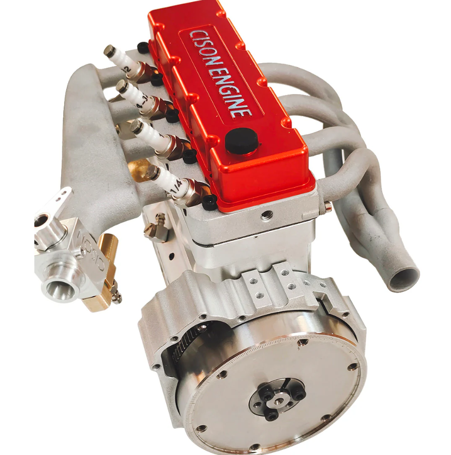 calathea beauty star calathea beauty star