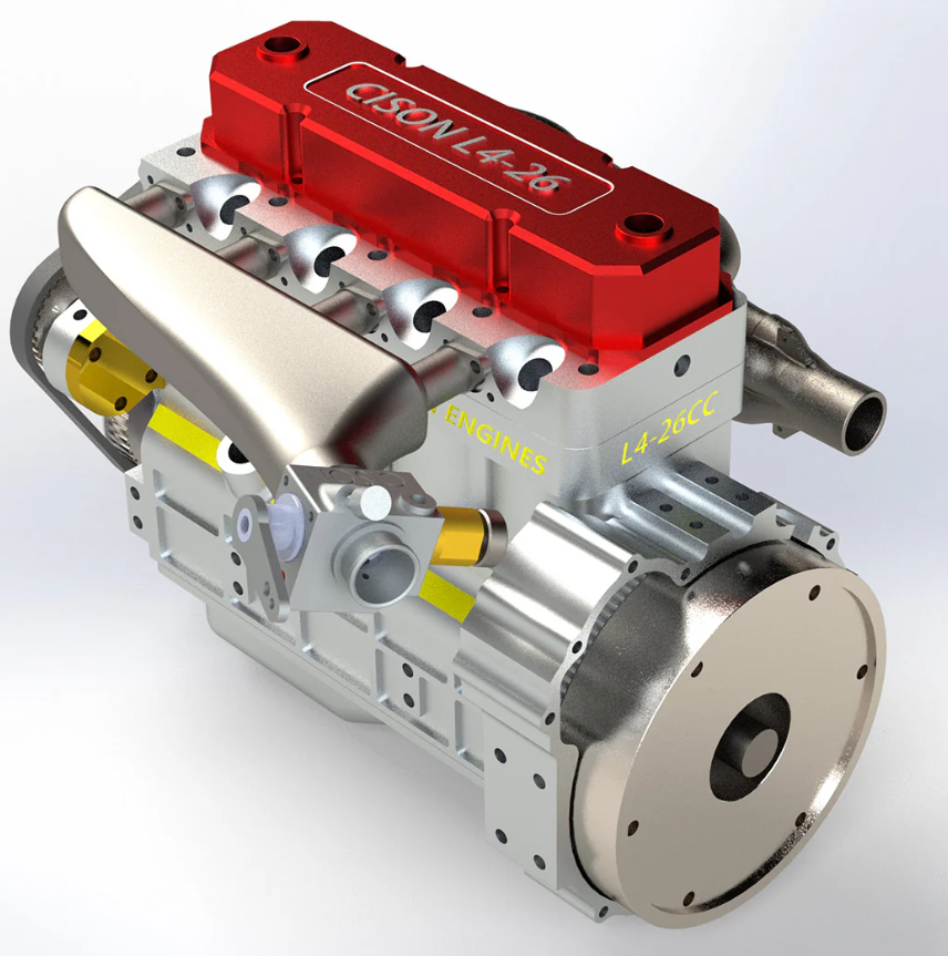 calathea beauty star calathea beauty star