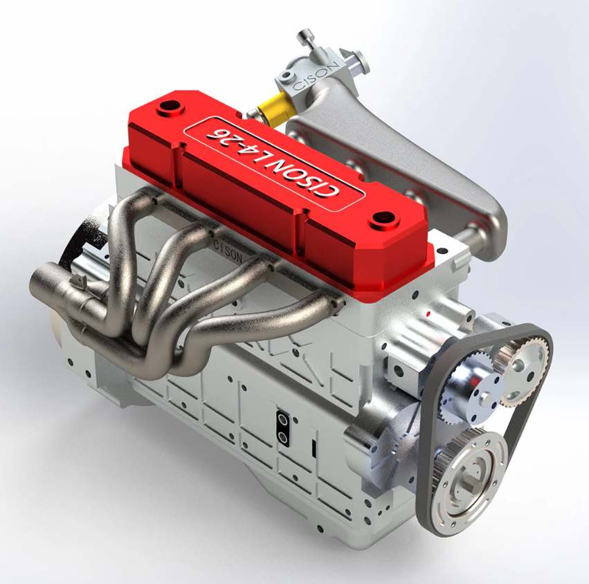 calathea beauty star calathea beauty star