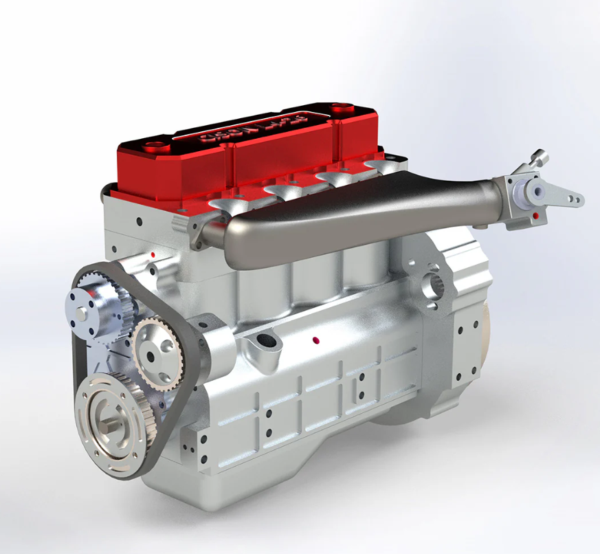 calathea beauty star calathea beauty star