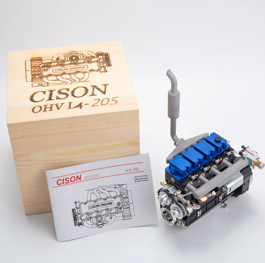 calathea beauty star calathea beauty star